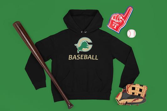 Carroll Baseball Hoodie